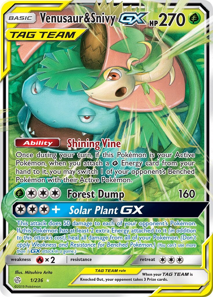 Venusaur & Snivy-GX - 001/236